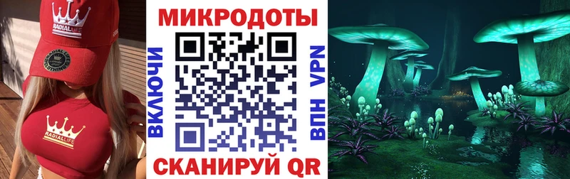 Псилоцибиновые грибы Psilocybine cubensis  Алейск 